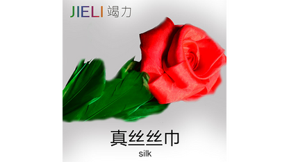 Rose to Canes by Jieli Magic - Trick
